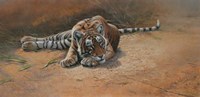 Tiger Cub Heat Of The Day Fine Art Print