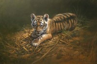 Tiger Cub Fine Art Print