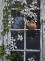 Window Seat Fine Art Print