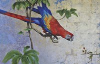 Parrot Fine Art Print