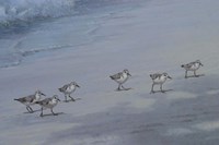 Beach Combers Detail Fine Art Print