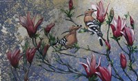 Hoopoe Fine Art Print
