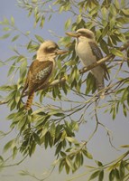 Resting Pait Fine Art Print