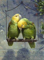 Pair of Lovebirds Fine Art Print