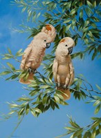 Pretty In Pink Fine Art Print