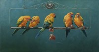 Sunconures Fine Art Print