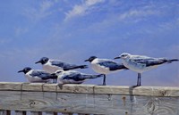 Waiting for the Boats Fine Art Print