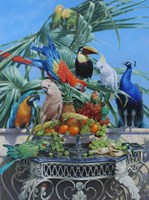 Who Let The Birds Out Fine Art Print