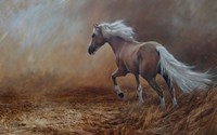 Champion Fine Art Print