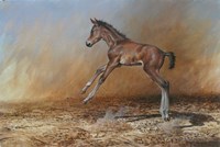 Foal Jumping For Joy Fine Art Print