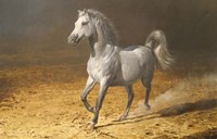 Poised Fine Art Print