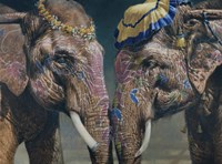 Nellies Fine Art Print