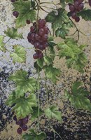 Grapes Fine Art Print