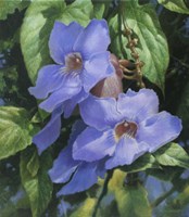 Blue Flowers Fine Art Print