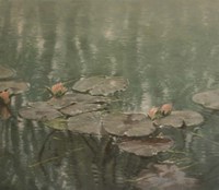 Refllections Fine Art Print