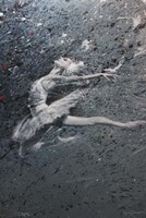 Ballerina Fine Art Print