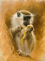 Green Monkey 11 Fine Art Print