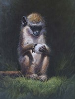 Inquisitive Fine Art Print