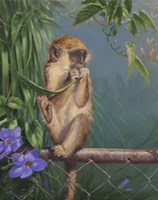 On the Fence Fine Art Print