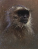 Monkey Portrait Fine Art Print