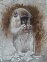 Monkey 3 Fine Art Print
