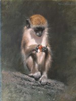 Monkey And Berries Fine Art Print