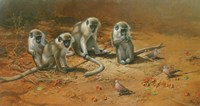 Monkey Business Fine Art Print
