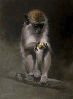 Monkey Fine Art Print