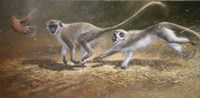 Running Monkeys Fine Art Print