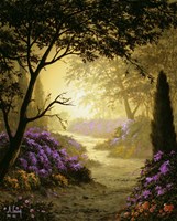 Glowing Fine Art Print