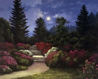 Steps Fine Art Print