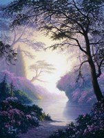 Burst of Color Fine Art Print