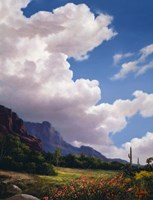 Clouds Above Fine Art Print