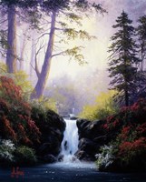 Waterfall Fine Art Print
