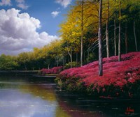 Red Carpet Fine Art Print