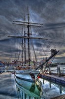 Reflections Fine Art Print