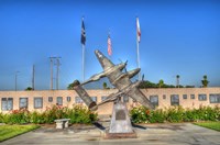 Freedom Fine Art Print