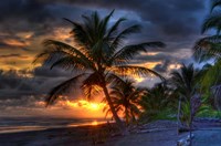 Tropical Sunset Fine Art Print