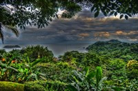 Lush View Fine Art Print