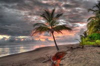 By the Edge Fine Art Print