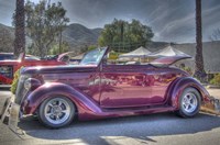 Pink Beauty Fine Art Print