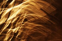 Poesia En Monocromo 1 Fine Art Print