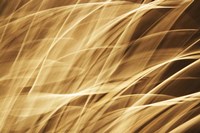 Poesia En Monocromo 2 Fine Art Print