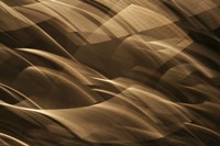 Poesia En Monocromo 3 Fine Art Print