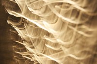 Poesia En Monocromo 4 Fine Art Print