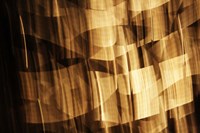 Poesia En Monocromo 5 Fine Art Print