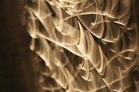 Poesia En Monocromo 6 Fine Art Print