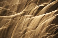 Poesia En Monocromo 7 Fine Art Print