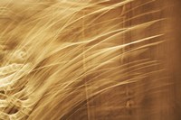 Poesia En Monocromo 8 Fine Art Print