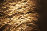 Poesia En Monocromo 10 Fine Art Print